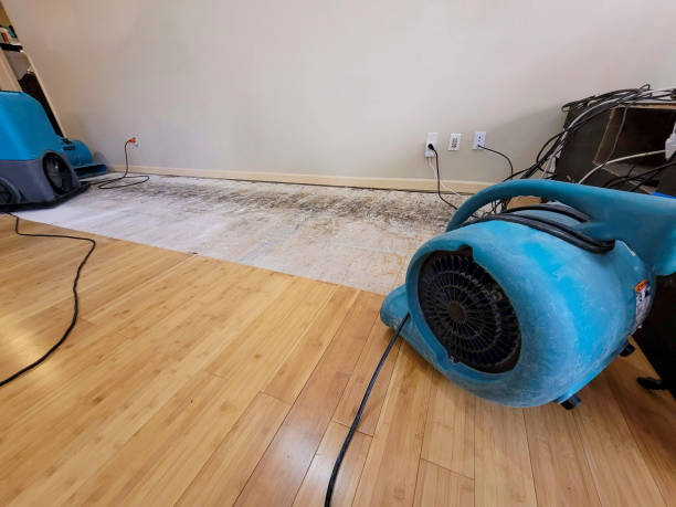 Professional Water Damage Repair technician working in Albany, OH